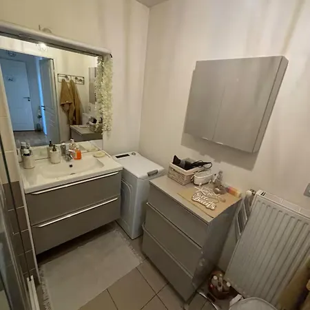 A 10 Mins D'aeroport D'orly Lumineux Chaleureux Homestay Athis-Mons